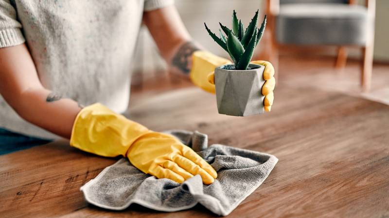 Prestations de ménage à domicile pour familles actives avec intervenant dédié dans une commune résidentielle proche de Toulouse en Haute-Garonne