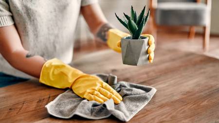 Nos prestations sur le secteur de à Balma (31130) en Haute-Garonne